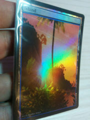 Island #25.1 Foil Extended